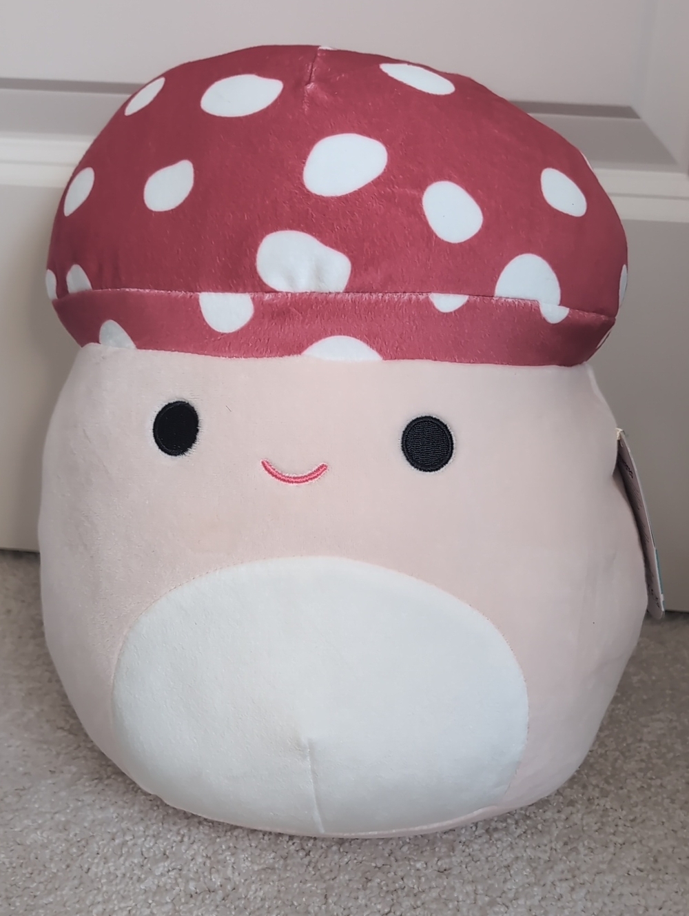 Malcolm Medium Squishmallow